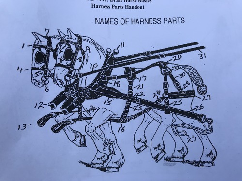 <p>Draft Horse Harness Parts: Label 9</p>