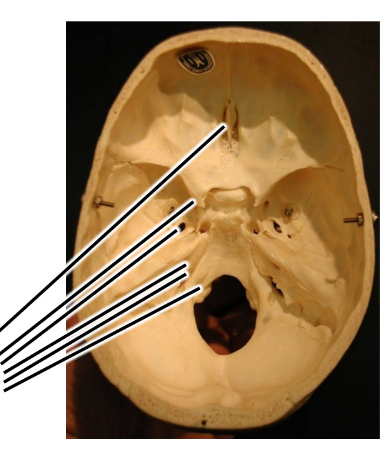 <p>what are the lines pointing to?</p>