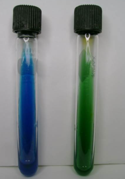 <p>Nombre de la prueba bioquímica (Color verde cambia a azul)</p>