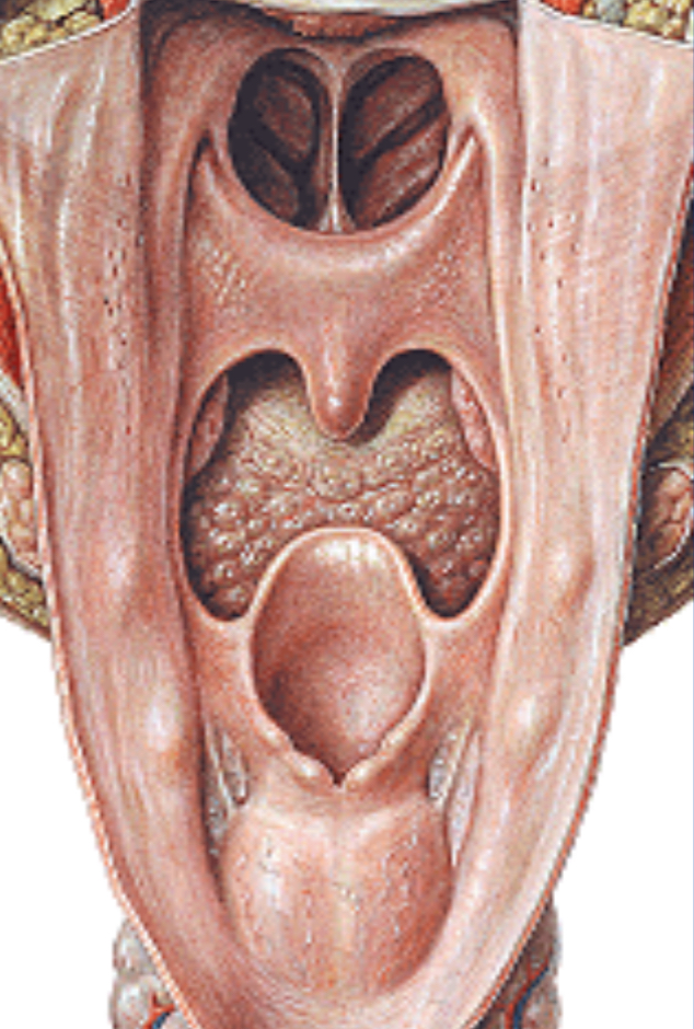 <p><span>¿A qué hace referencia la siguiente imagen?</span></p>