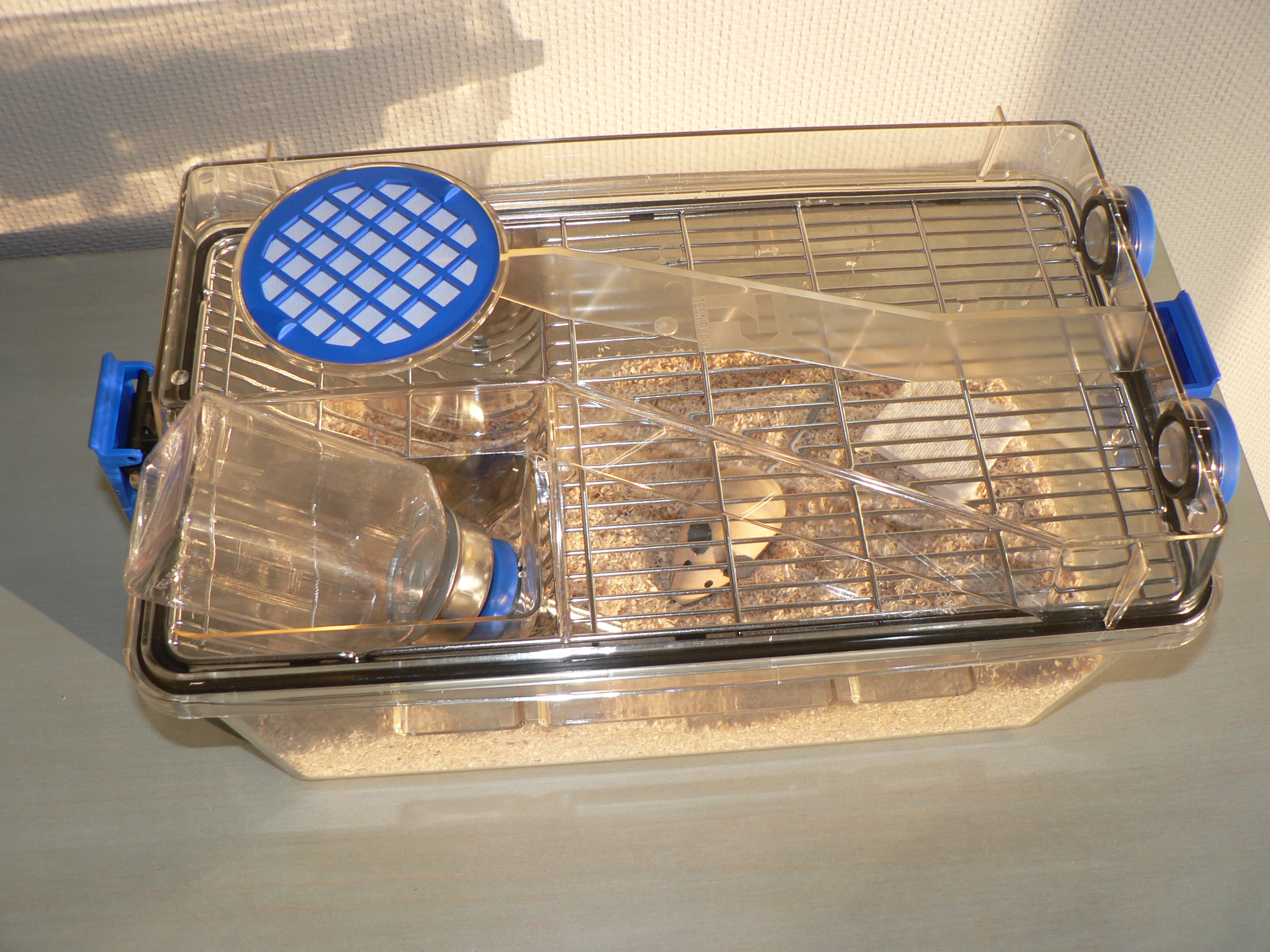<ul><li><p><span style="color: red;"><strong>micro Isolation cages</strong></span></p></li></ul><p></p>