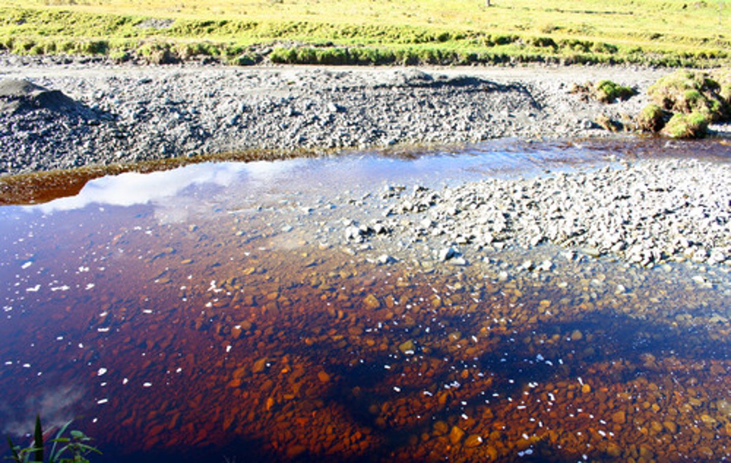 <p>areas in oceans or lakes where oxygen levels are too low for marine life to survive.</p>