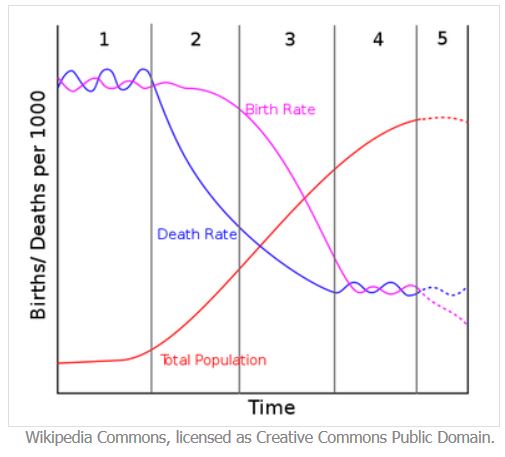 <p>Birth deficit</p>