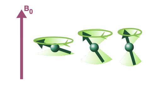 <p>frequency of precession = Larmor frequency </p><p>angle of precession = dependent on initial spin direction </p>