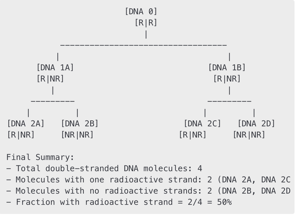 <p><strong>Solution:</strong> The correct answer is <strong>C</strong>.</p><ol><li><p>Deoxyribonuclease is used to break down, not synthesize, DNA molecules such as cDNA.&nbsp;</p></li><li><p>Peptidyl transferase is used to link amino acids, not to form cDNA.</p></li><li><p><strong>The production of cDNA from RNA is performed during the reverse transcription polymerase chain reaction. This conversion is mediated by the enzyme reverse transcriptase.&nbsp;</strong></p></li><li><p>To produce cDNA from an RNA template, a DNA polymerase referred to as reverse transcriptase must be used. RNA polymerases are not required for this conversion, as an RNA template is already available.&nbsp;</p></li></ol><p></p><p><br></p><p>Just in case someone is wondering this question:</p><p>cDNA is synthesized from mRNA using reverse transcriptase</p><p>The synthesized single strand cDNA is synthesized into a double stranded cDNA using DNA polymerase</p><p>The double stranded cDNA is transferred into the vector and ligated at the ends with DNA ligase.</p><p></p><p></p><p><span><span>cDNA is essentially DNA that has been reverse transcribed from RNA. Basically it's DNA without the introns.</span></span></p><p></p><p></p><ol><li><p><span><strong><span>Initial State (0 cycles):</span></strong><span> You start with 1 double-stranded DNA molecule, both strands radioactive (R/R).</span></span></p></li><li><p><span><strong><span>After Cycle 1:</span></strong><span> The original template separates, and new, non-radioactive (N) strands are synthesized, resulting in 2 molecules: one R/N and one N/R (both semi-radioactive).</span></span></p></li><li><p><span><strong><span>After Cycle 2:</span></strong><span> Each of the two semi-radioactive molecules replicates, producing 4 total molecules:</span></span></p><ul><li><p><span><span>From the R/N molecule: 1 R/N and 1 N/N</span></span></p></li><li><p><span><span>From the N/R molecule: 1 N/R and 1 N/N</span></span></p></li><li><p><span><strong><span>Total:</span></strong><span> 1 R/N, 1 N/R, and 2 N/N molecules.</span></span></p></li></ul></li><li><p><span><strong><span>Result:</span></strong><span> Out of 4 total molecules, 2 contain at least one radioactive strand (the R/N and N/R molecules), making it 50%.&nbsp;</span></span></p></li></ol><p></p>