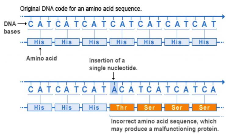 <p>When one nucleotide is either deleted or inserted which affects the reading of all the remaining codons</p>