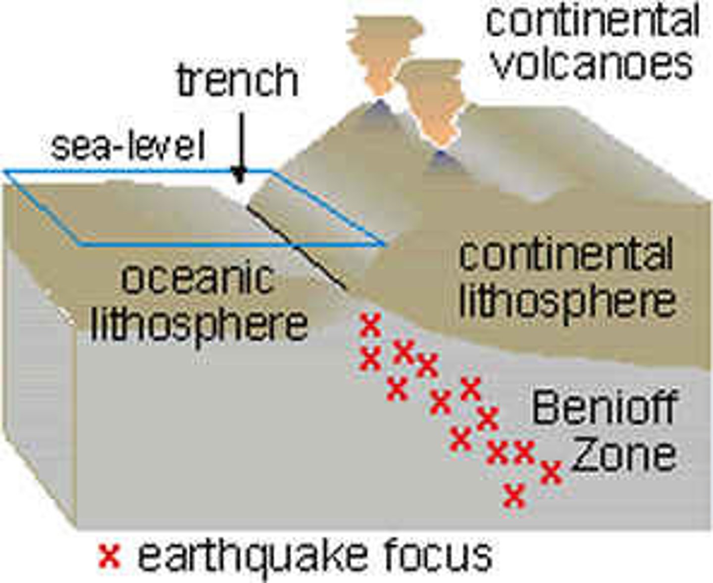 <p>The region of seismic activity (where earthquakes occur) typically 10-700 meters below. occur at subduction zones (boundaries where one plate sinks beneath the other).</p>
