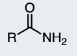 <p>a carbonyl group (C=O) directly attached to a nitrogen atom and two hydrogen atoms</p>