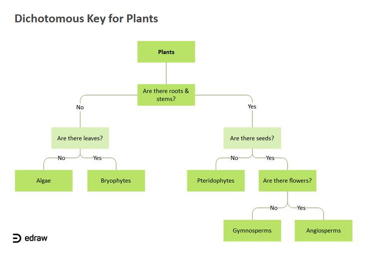 <p>by answering yes/no you can determine the organisms identity</p>