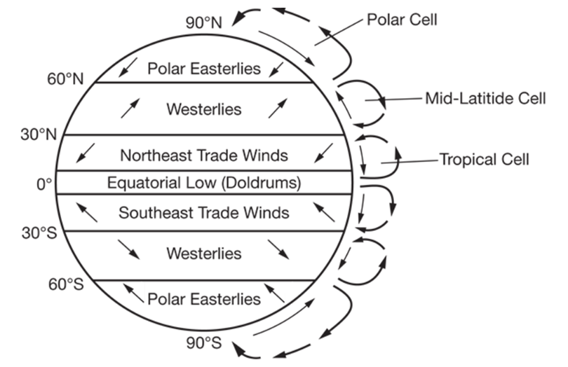 <p><span><span>What is the best explanation for the deflection of the trade winds in both hemispheres, as seen in the diagram above?</span></span></p>