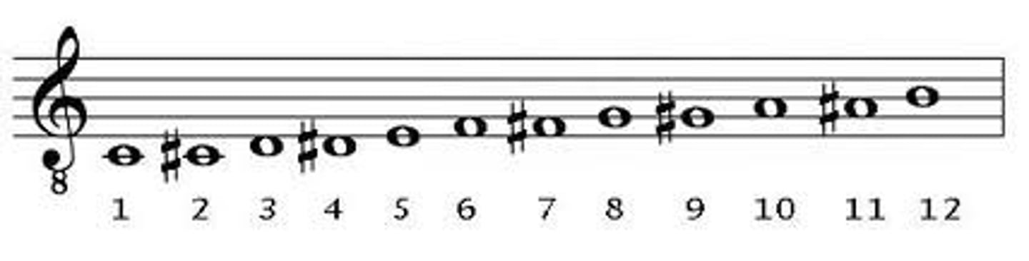 <p>a 13 note scale, where every step is a semitone</p>