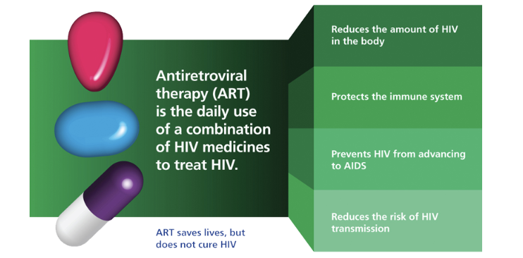 <ul><li><p>the first ART was approved in 1987. These drugs do not kill or cure the human immunodeficiency virus, but can prevent it from replicating</p></li><li><p>since then, combination retroviral therapy (aka antiretroviral therapy ART or highly active antiretroviral therapy HAART), has been introduced</p></li><li><p>this therapy utilizes a panel of antiretroviral drugs in different combinations to prevent drug resistance by the rapidly mutating virus</p></li><li><p>this treatment method has led to staggering declines in the rates of AIDS and AIDS-associated deaths</p></li><li><p>HAART maintains the function of the immune system, and prevents opportunistic infections that often lead to death</p></li></ul><p></p>