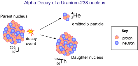 <p>- Transmutation involves converting one chemical element into another.</p>