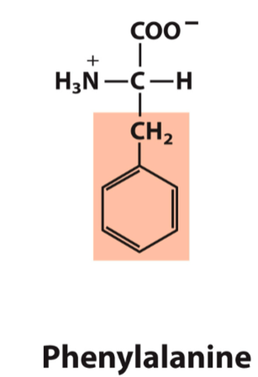 <p>What is the classification of this amino acid's R group?</p>