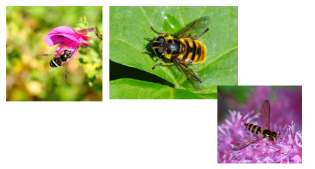<p>bruker forsvarsteknikken mimicry - ligner på bie/veps</p>