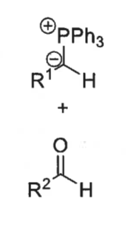 <p>which betane forms fast and slow?</p><p>which is reversible?</p>