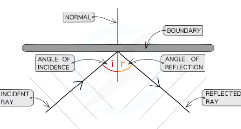 <p>angle of incidence= angle of reflection</p><ul><li><p>Angles are measured between the wave direction (ray) and a line at 90 degrees to the boundary-the normal</p><ul><li><p>The angle of the wave approaching the boundary-between incoming wave and normal- is called the <strong>angle of incidence (i)</strong></p></li><li><p>The angle of the wave leaving the boundary-between the reflected wave an dnromal is called the <strong>angle of reflection (r)</strong></p></li></ul></li></ul>