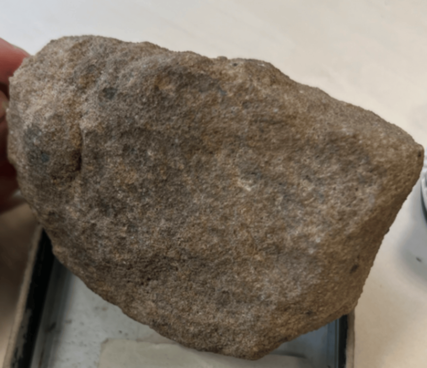 <p>sedimentary</p>