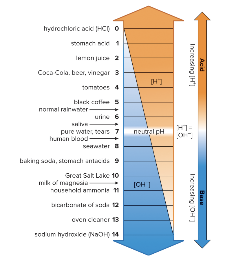 The pH scale