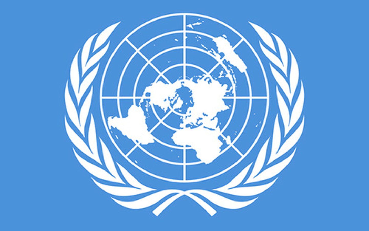 <p>United Nations</p>