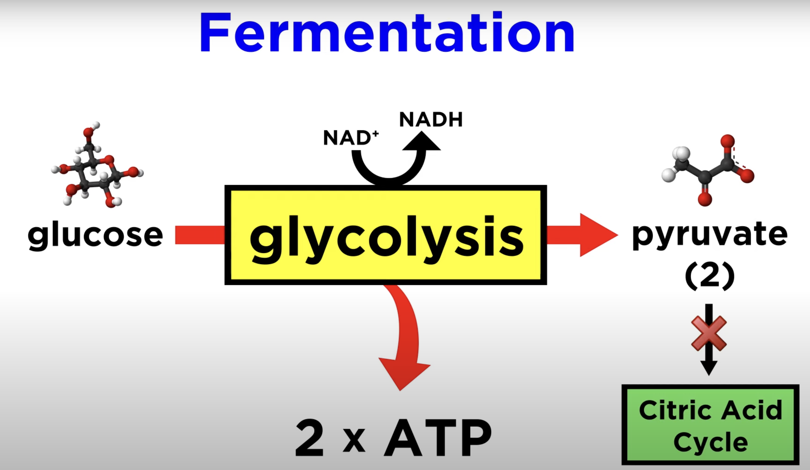 <p><strong>2</strong></p>
