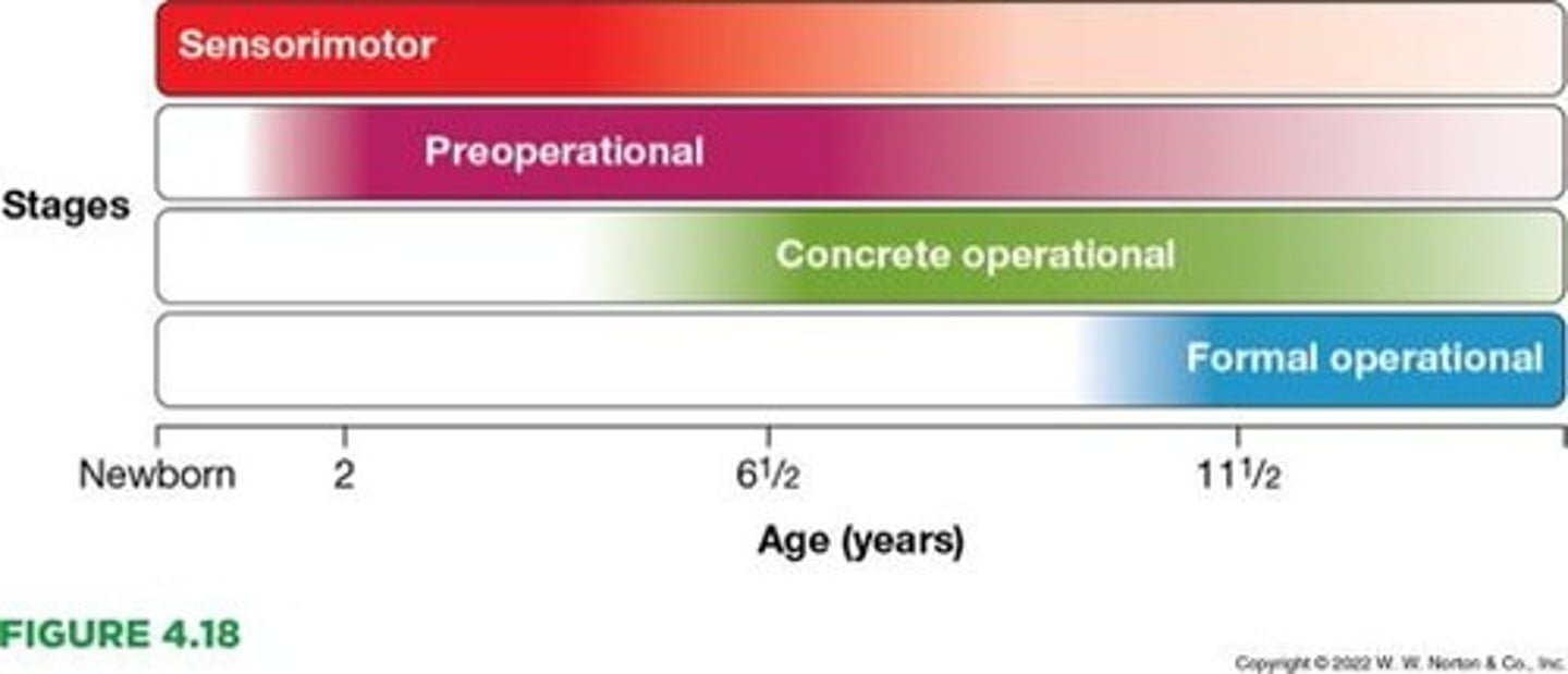 <p>1. Sensorimotor (Birth - 2 yrs) 2. Preoperational (2 - 7 yrs) 3. Concrete Operational (7 - 11 yrs) 4. Formal Operational (12+ yrs).</p>