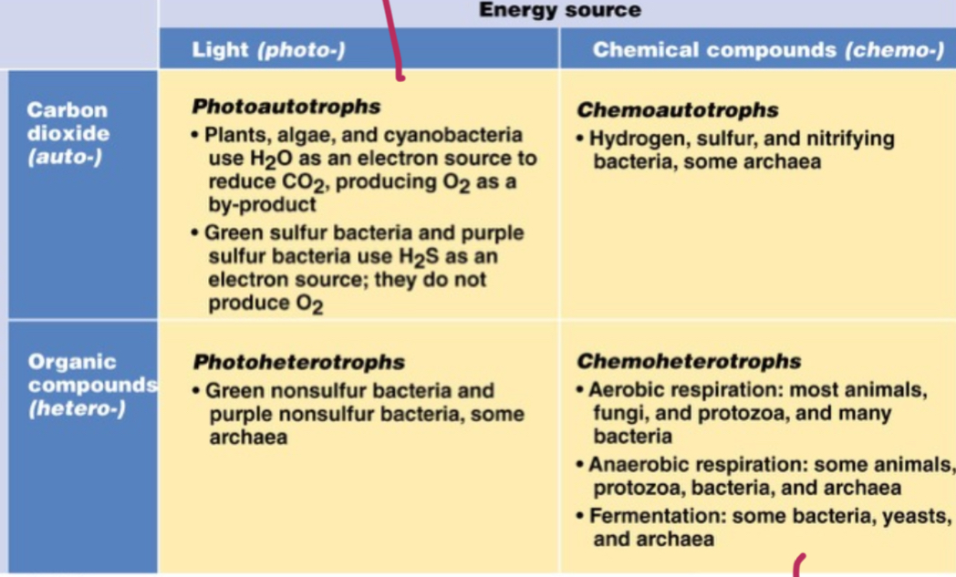 <p>Carbon source; carbon dioxide= (auto), organic compound- (hetero). Energy source; light= (photo), Chemical compounds= (chemo). Add troph to the end.</p>