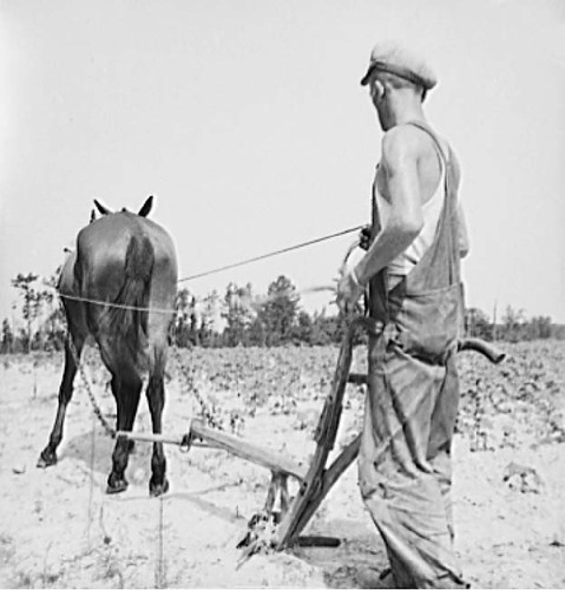 <p>(1861-1865) system of farming in which a person rents land to farm from a planter</p>