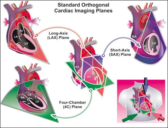 <p>name these views</p>