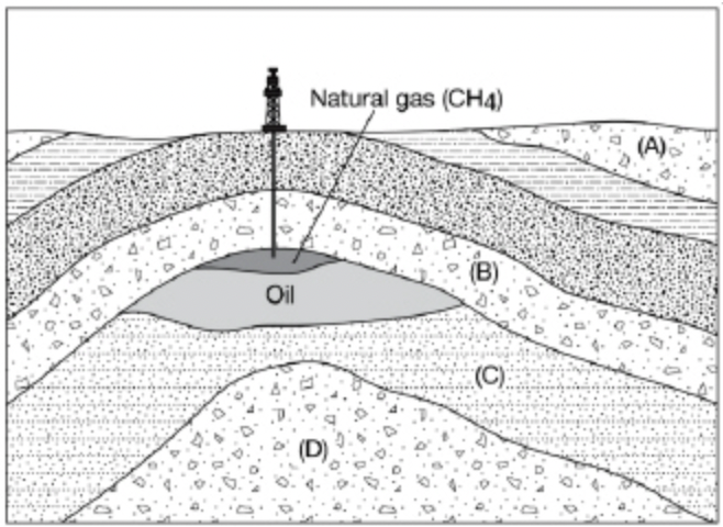 <p><span>For the diagram below, assume fracking has not been used with the oil and gas well.</span></p><p>Rock layer that must be rich in organic matter that was subjected to heat and pressure over time during the formation of oil and natural gas.</p>