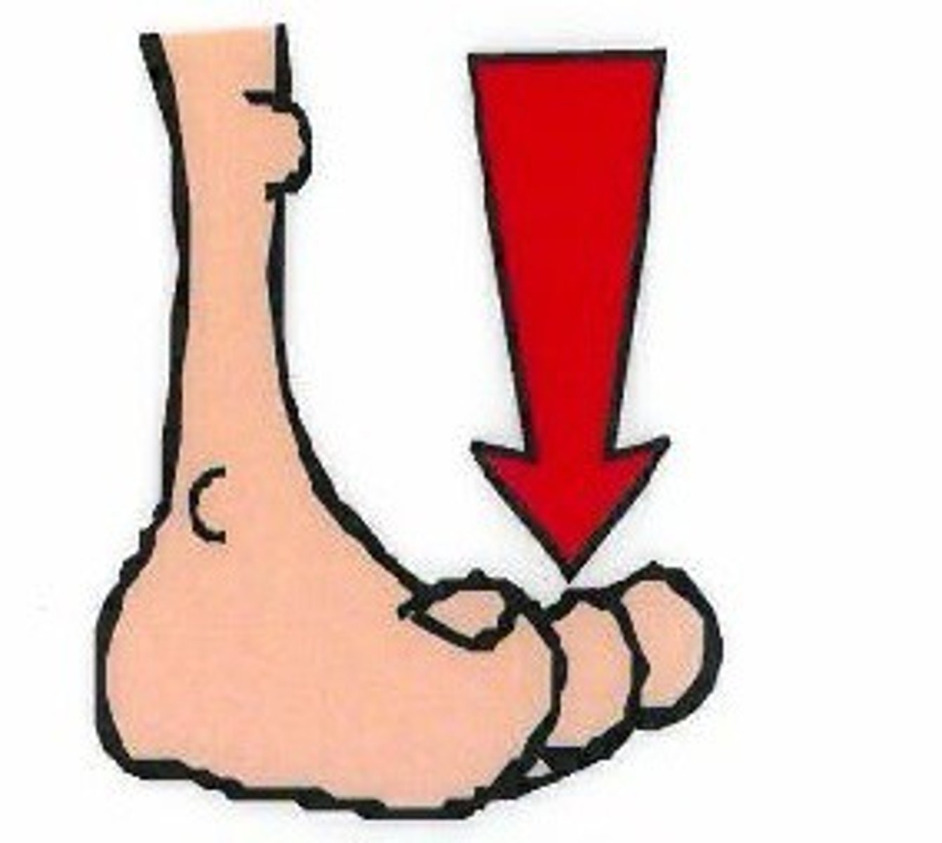 <p>toe</p>