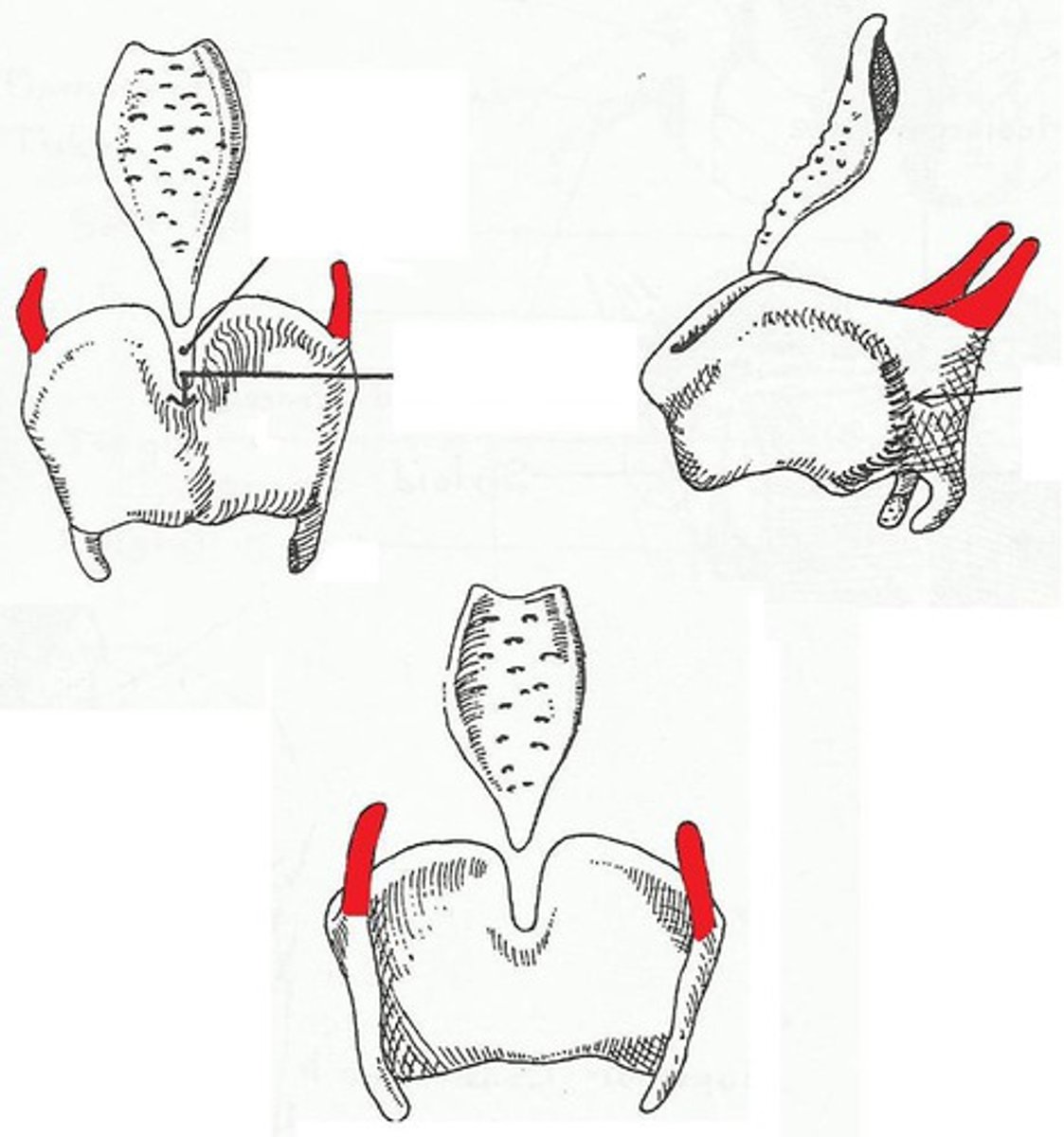 <p><em>identify the structure:</em></p>