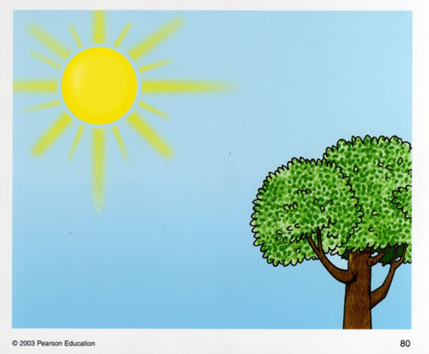 <p>Hace sol</p>