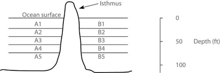 <p>A1 and B1</p>