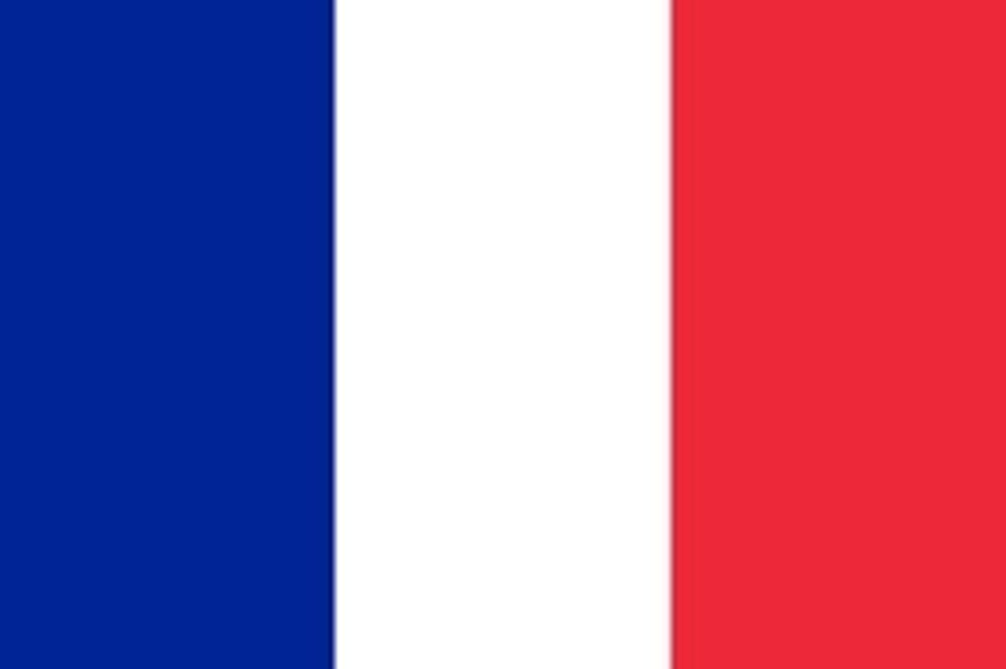 <p>Francês</p>