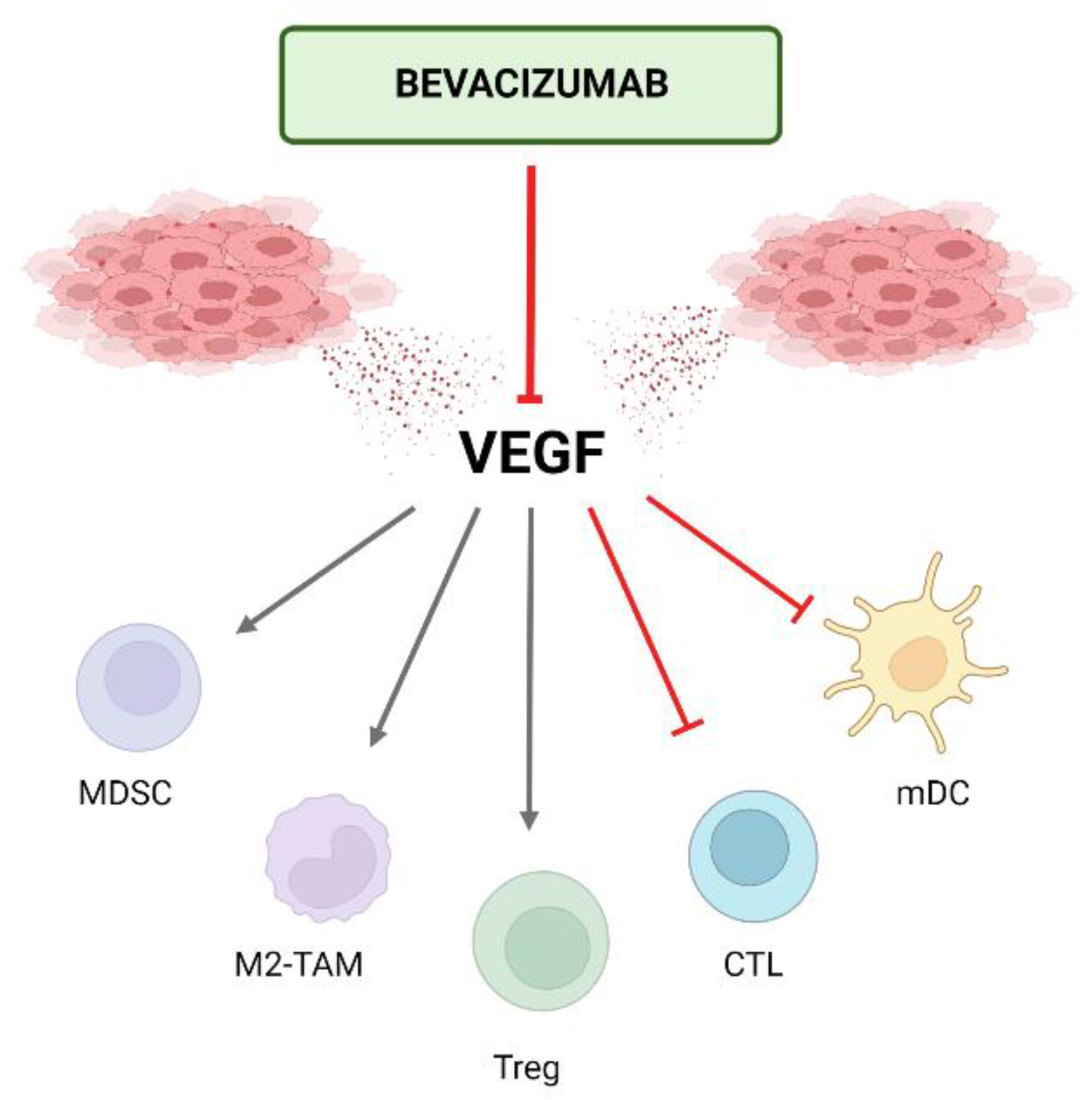 <p>A) Bevacizumab</p>