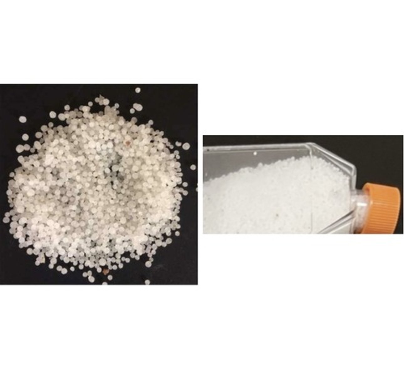 <p>Protein/Nitrogen Feed</p>