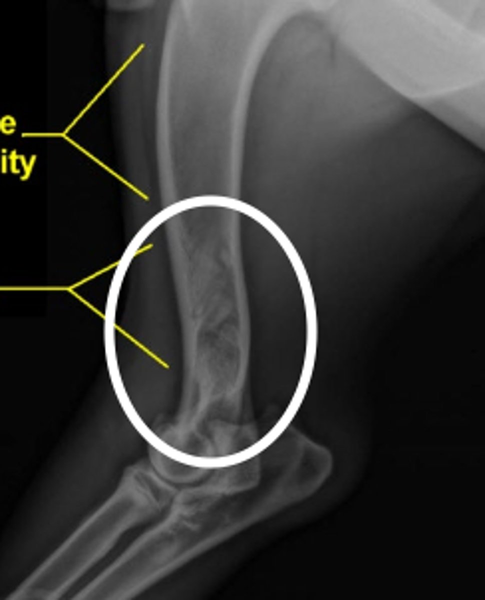 <p>what is the problem here?</p>