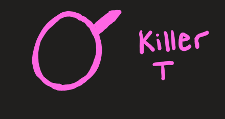 <p>killer T </p>