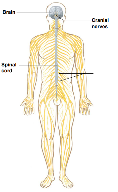 <p>Label the diagram</p>