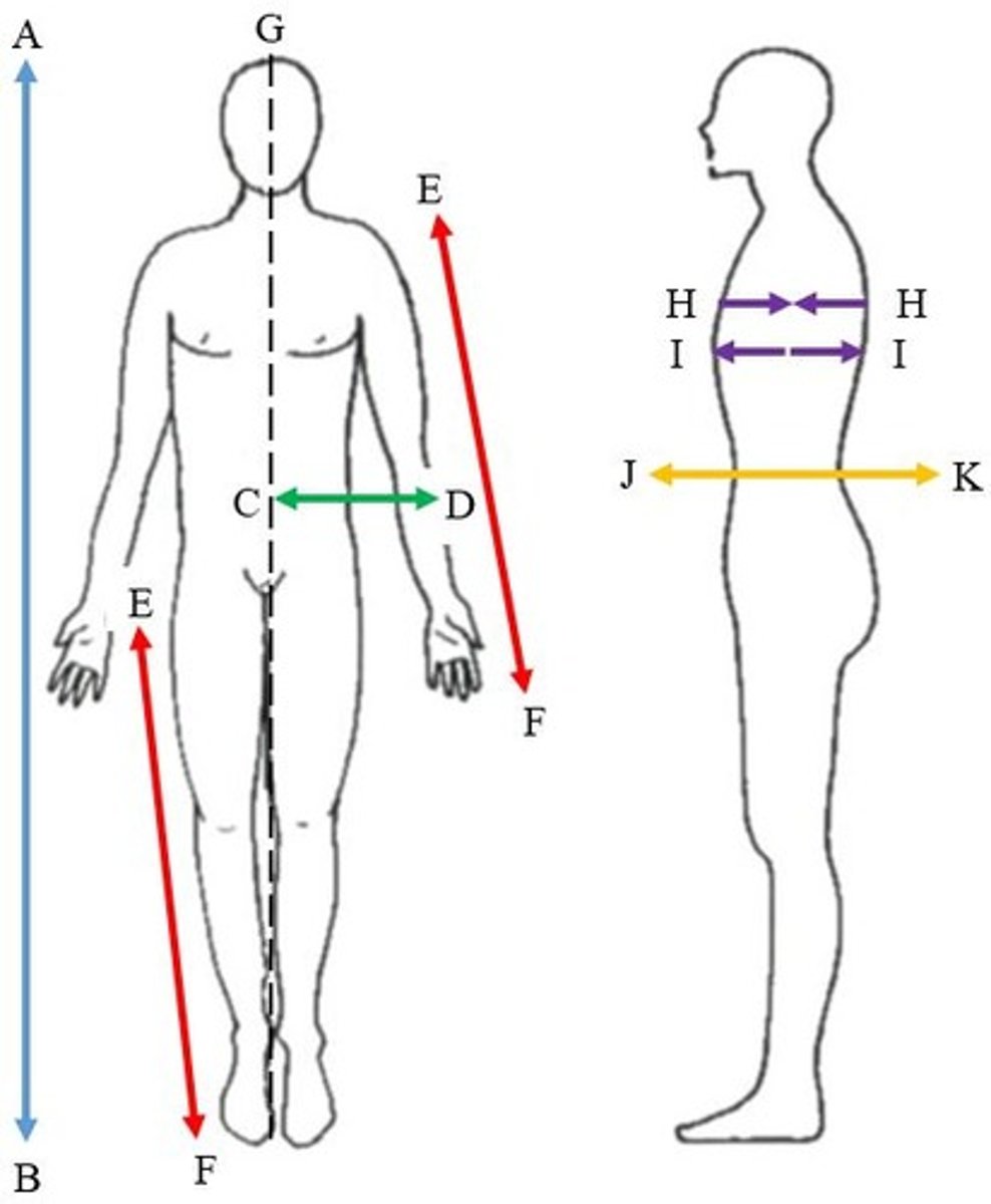 <p>What are the 8 anatomical directions?</p>