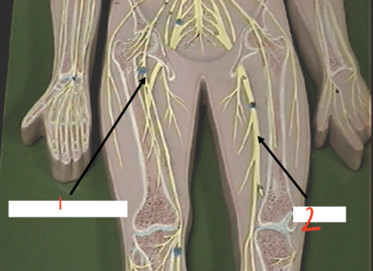 <p>#2</p>
