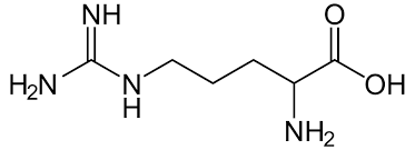 <p>Arg, R<br>polar, positive side chain</p>