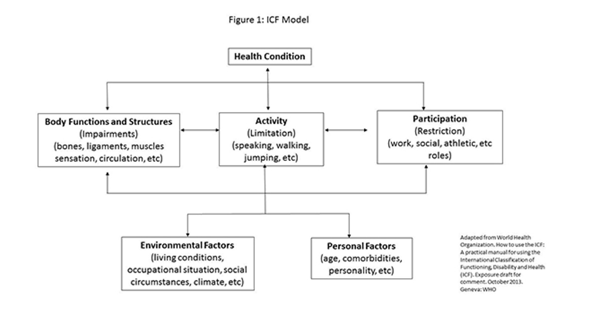 <ul><li><p>Focused on how individuals participate in those roles and occupations</p></li></ul><p></p>
