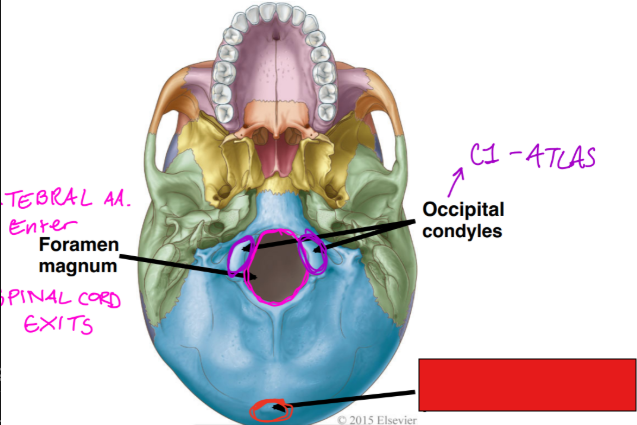 <p>fill in the red box:</p>