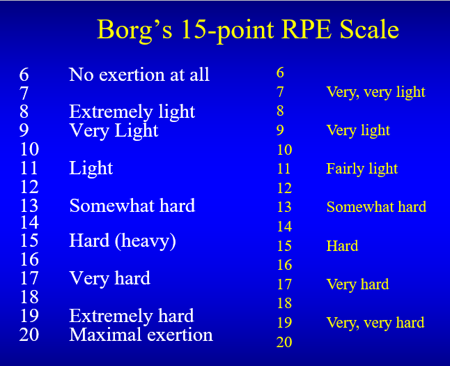 <p><span>Borg’s 15-point RPE Scale</span></p>