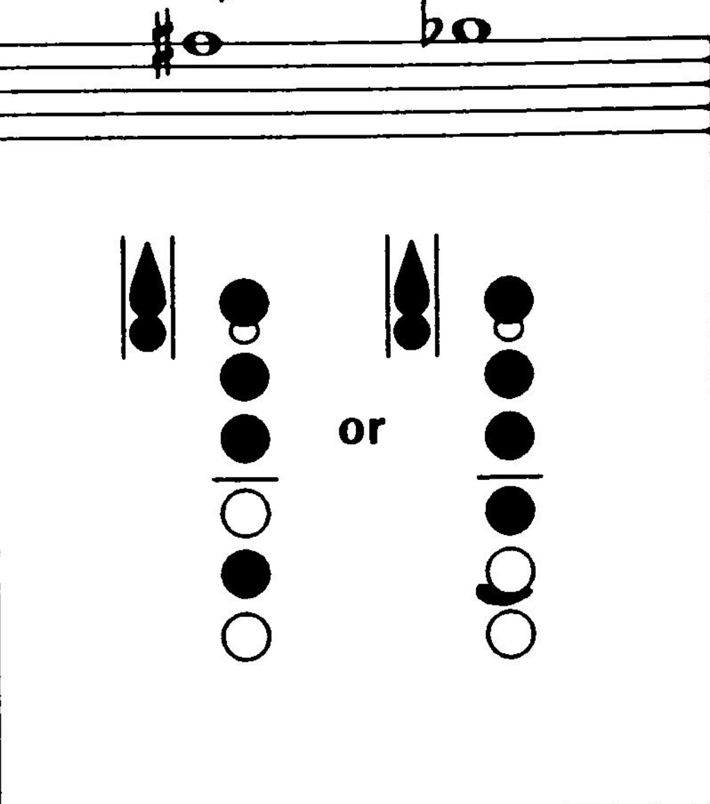 <p>What notes are these?</p>