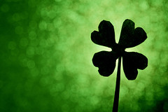 (adj.) happening by good fortune
SYN: fortunate
ANT: unlucky