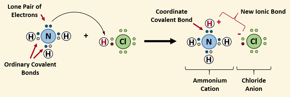 <p>coordinate covalent </p><ul><li><p>most often found in lewis acid-base chemistry </p></li></ul><p></p>