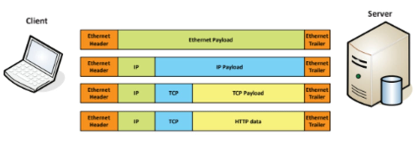 <p>• Efficiently move large amounts of data</p><p>- Use a shipping truck</p><p>• The network topology is the road</p><p>- Ethernet, DSL, cable system</p><p>• The truck is the Internet Protocol (IP)</p><p>- We've designed the roads for this truck</p><p>• The boxes hold your data</p><p>- Boxes of TCP and UDP</p><p>• Inside the boxes are more things</p><p>- Application information</p>